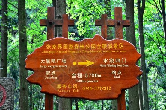 张家界之旅728 / 作者:李丽璇璇 / 帖子ID:173815