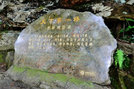 张家界之旅210 / 作者:李丽璇璇 / 帖子ID:173815