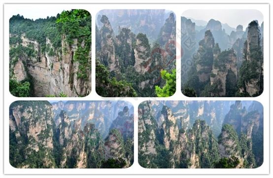 张家界之旅246 / 作者:李丽璇璇 / 帖子ID:173815