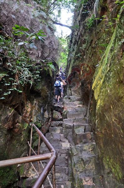 张家界之旅477 / 作者:李丽璇璇 / 帖子ID:173815