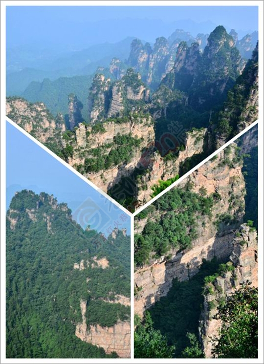 张家界之旅77 / 作者:李丽璇璇 / 帖子ID:173815