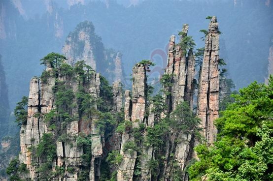 张家界之旅990 / 作者:李丽璇璇 / 帖子ID:173815
