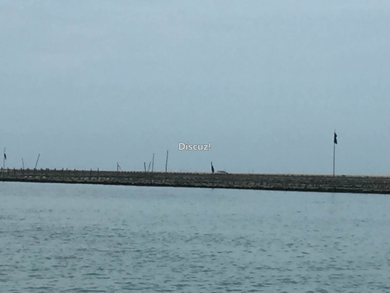 钦州港生蚝自产自销烧烤生蚝513 / 作者:北部湾生蚝 / 帖子ID:173903