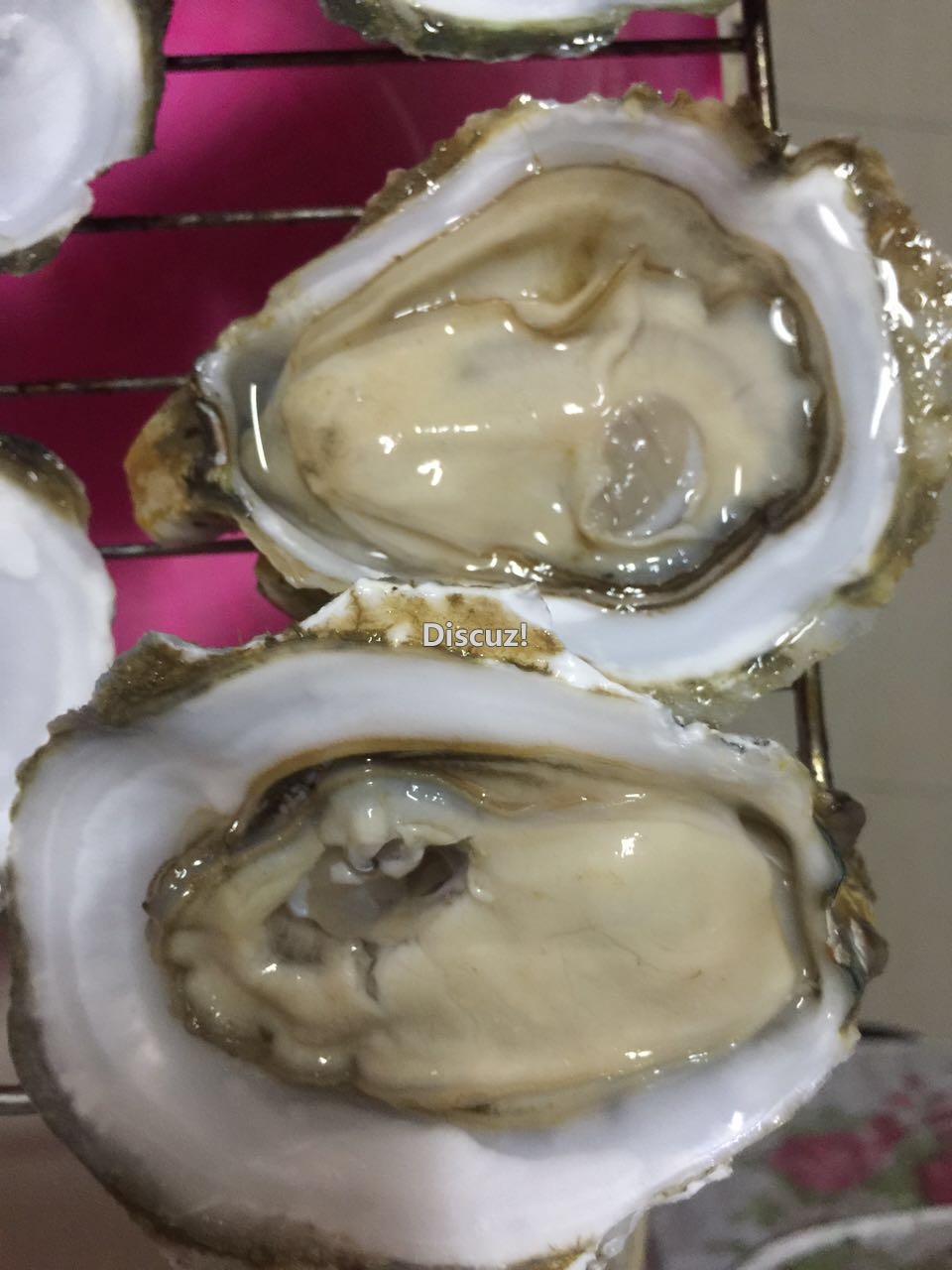 钦州港自产自销生蚝烧烤生蚝857 / 作者:北部湾生蚝 / 帖子ID:173904