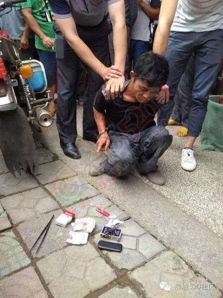紧急通告：西岭街老市场抓到一名扒窃犯，望受害人到西岭派出所协助破案！256 / 作者:桂花糕 / 帖子ID:173953