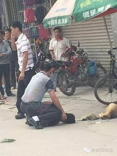 紧急通告：西岭街老市场抓到一名扒窃犯，望受害人到西岭派出所协助破案！316 / 作者:桂花糕 / 帖子ID:173953