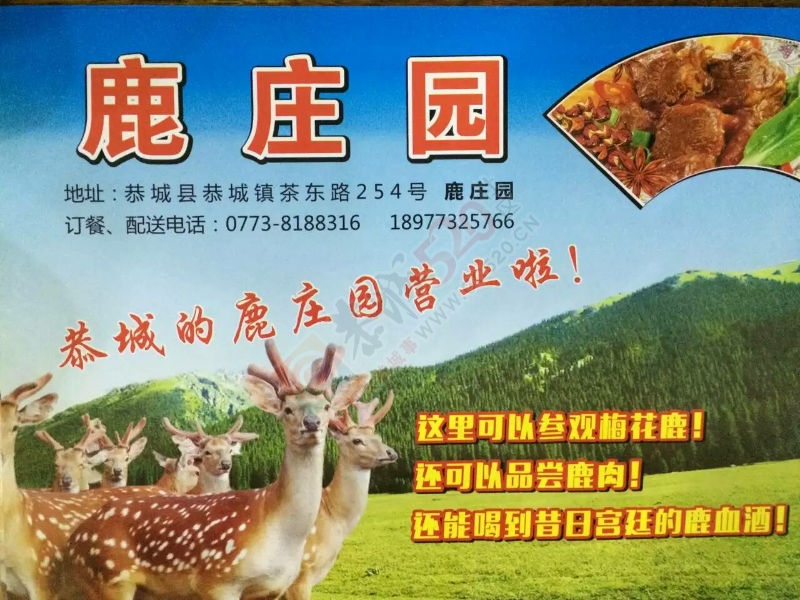 凤凰山鹿庄园955 / 作者:风烟 / 帖子ID:174005