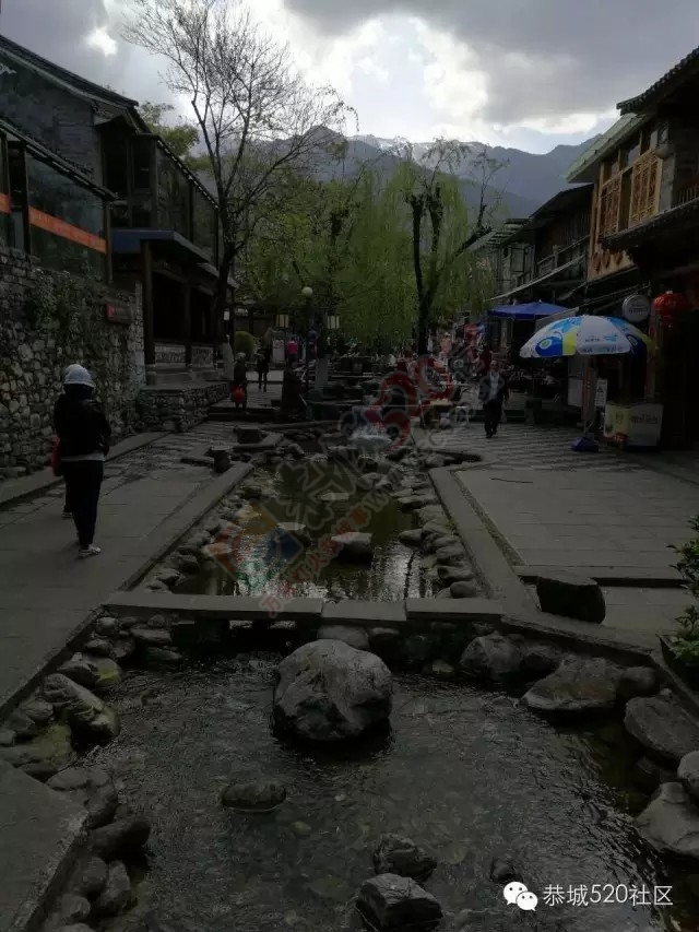 恭城520社区七彩云南体验游第一天，心之所往~44 / 作者:千变万幻 / 帖子ID:174021