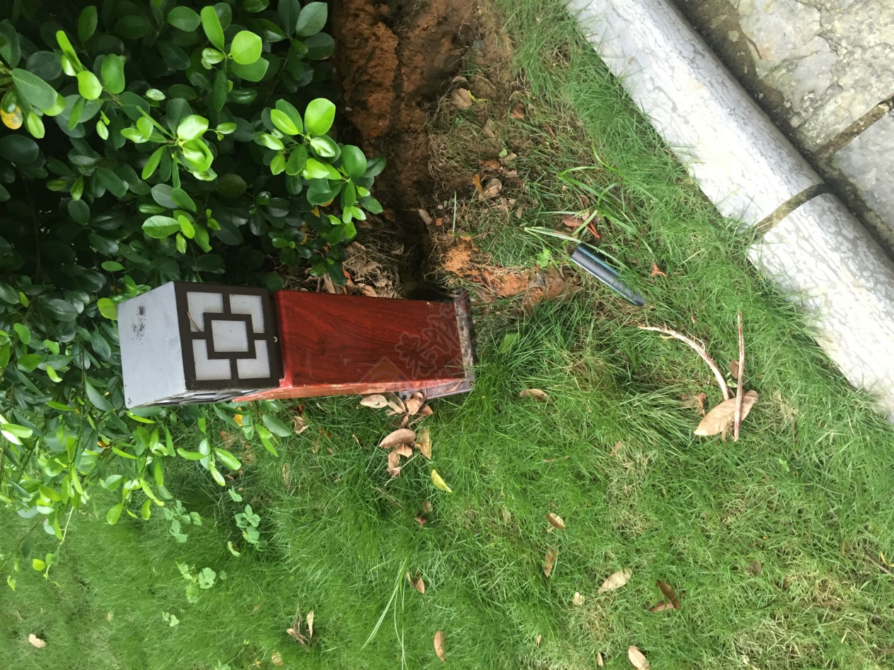 今天从文武小广场走路到盘王阁看见不文明的现象539 / 作者:水墨茶江 / 帖子ID:174041