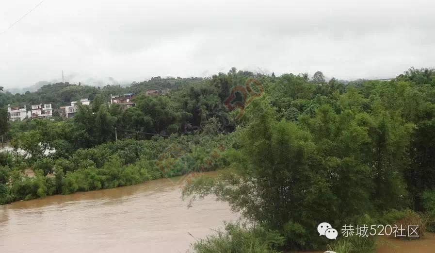 恭城连续遭遇暴雨，农民果园、农田被淹！645 / 作者:今日恭城 / 帖子ID:174043