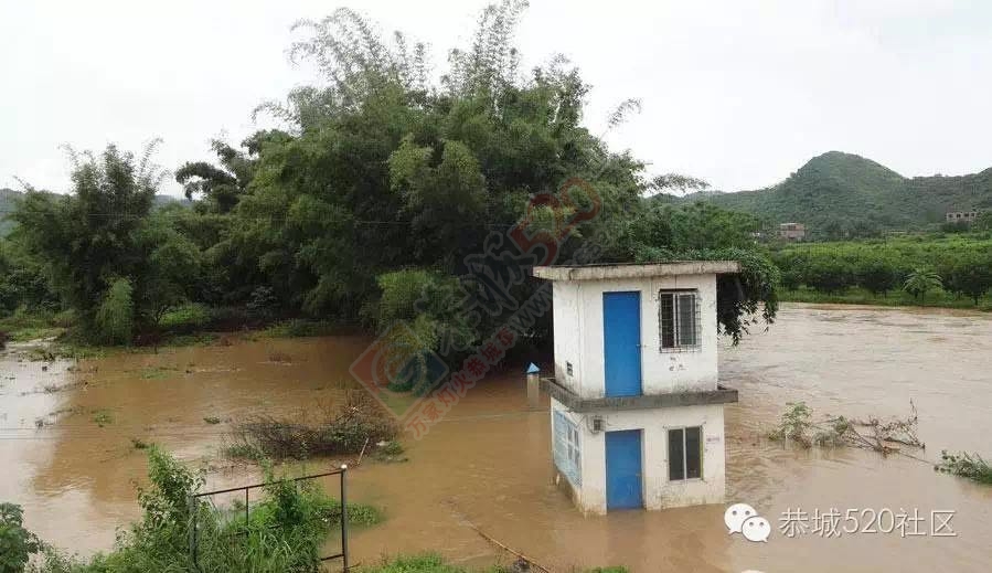 恭城连续遭遇暴雨，农民果园、农田被淹！129 / 作者:今日恭城 / 帖子ID:174043