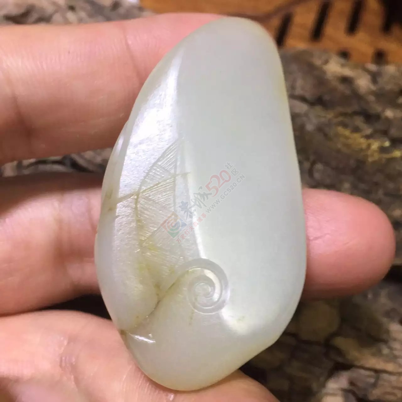 新疆和田玉籽料独籽雕刻貔貅64 / 作者:错了_Zfm79 / 帖子ID:174132