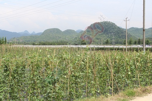 益邦丹尼桂林月子中心六月活动全市最低价，仅需12000元，时尚辣妈们，就等您来了899 / 作者:哎咿呀呀 / 帖子ID:174190