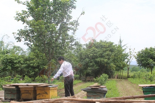 益邦丹尼桂林月子中心六月活动全市最低价，仅需12000元，时尚辣妈们，就等您来了971 / 作者:哎咿呀呀 / 帖子ID:174190