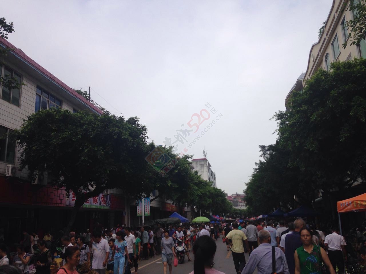 五月端午街上好热闹啊577 / 作者:恭城520小奈姐姐 / 帖子ID:174217