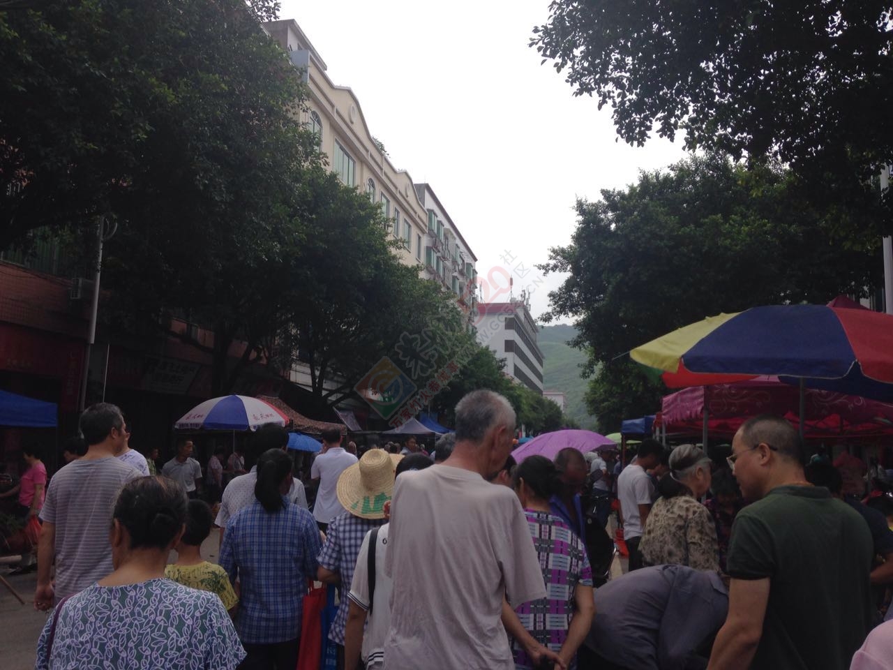 五月端午街上好热闹啊547 / 作者:恭城520小奈姐姐 / 帖子ID:174217