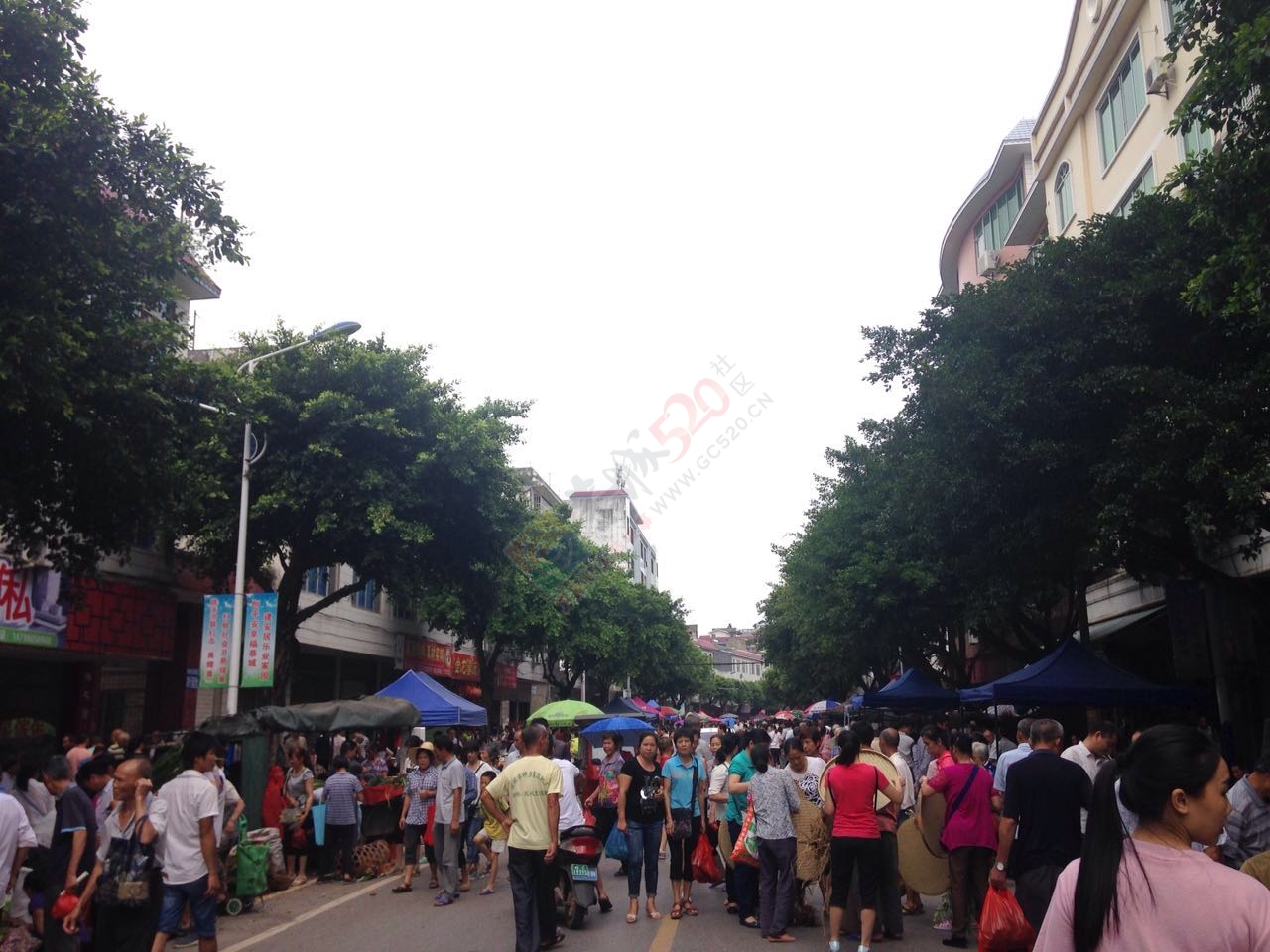 五月端午街上好热闹啊604 / 作者:恭城520小奈姐姐 / 帖子ID:174217