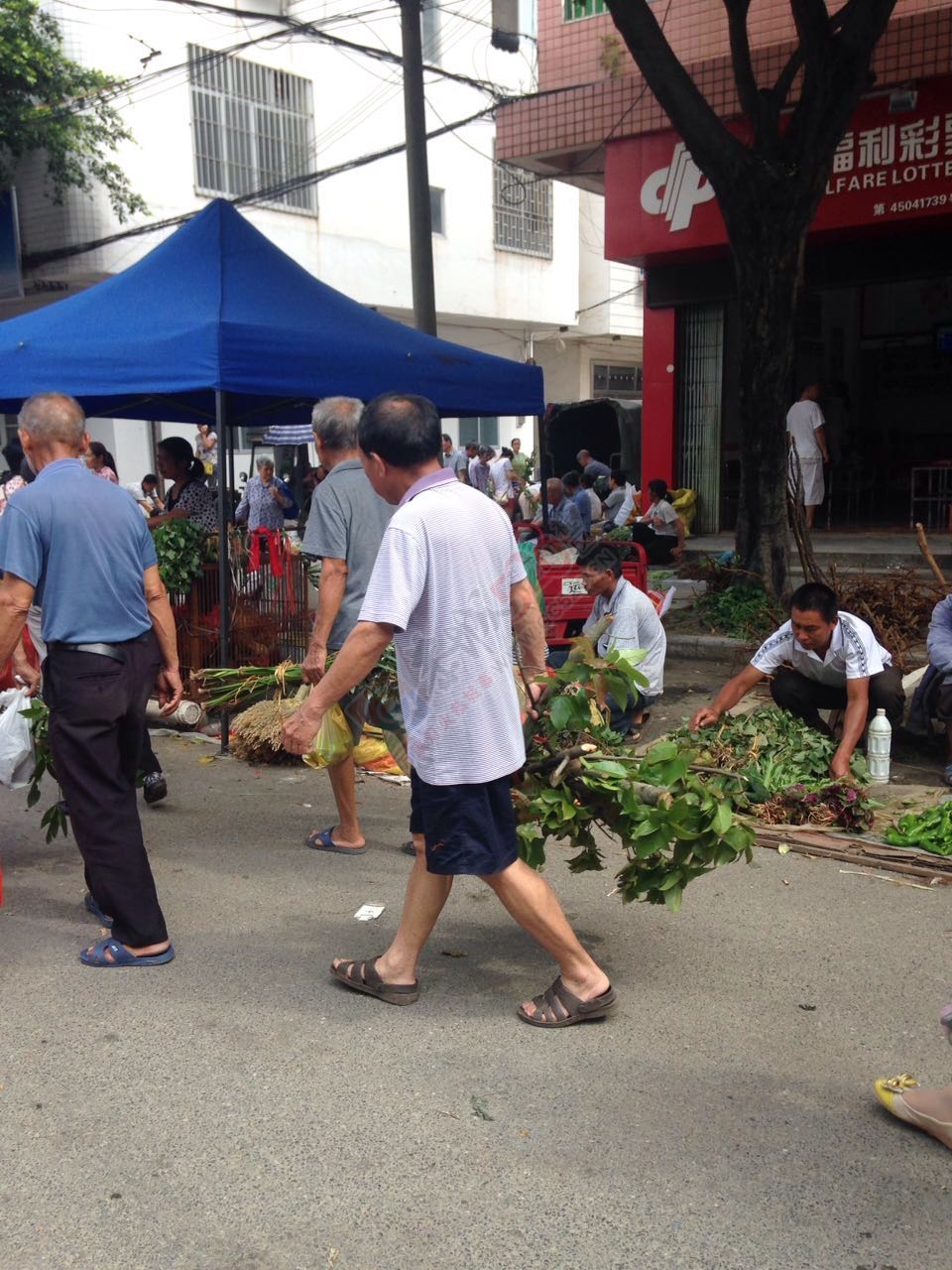 五月端午街上好热闹啊512 / 作者:恭城520小奈姐姐 / 帖子ID:174217