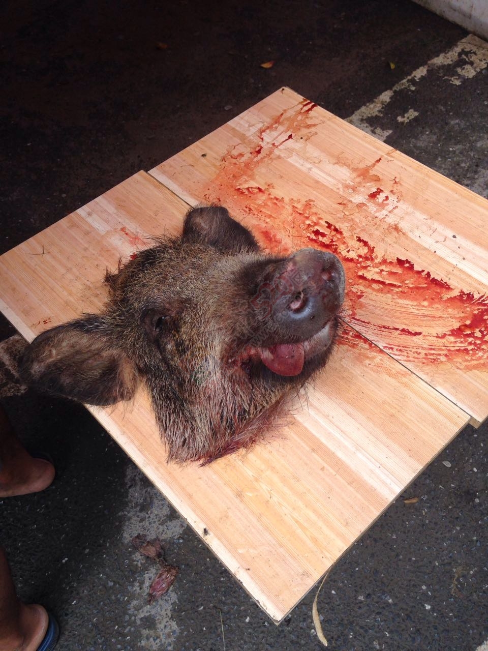 五月端午街上好热闹啊866 / 作者:恭城520小奈姐姐 / 帖子ID:174217