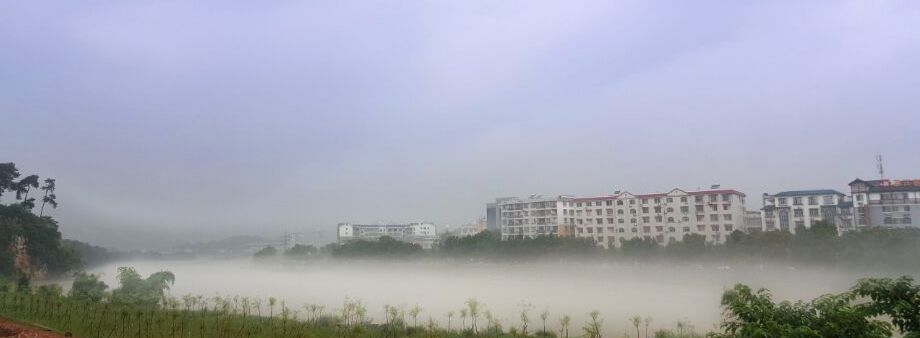 茶城里的海市蜃楼601 / 作者:新乐文化传媒 / 帖子ID:174360