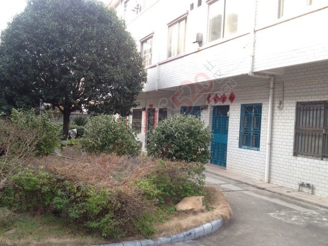 恭城县卫生局院内有独栋复式楼出售! 2350元/平方米852 / 作者:中正平和 / 帖子ID:174400