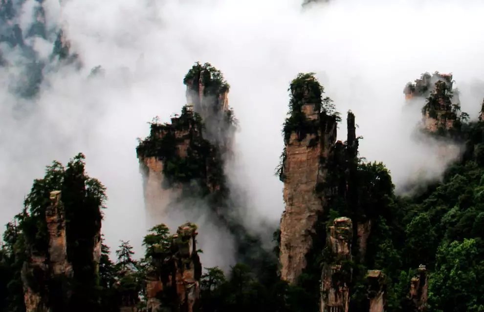 雨后张家界的云海——————人间仙境664 / 作者:旅游风光 / 帖子ID:174417