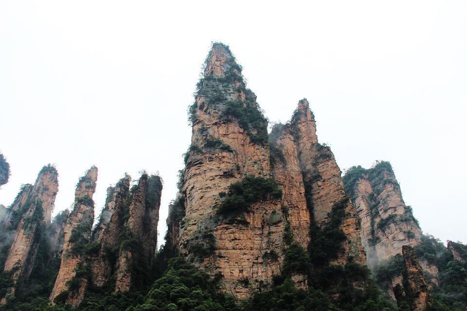 雨后张家界的云海——————人间仙境386 / 作者:旅游风光 / 帖子ID:174417