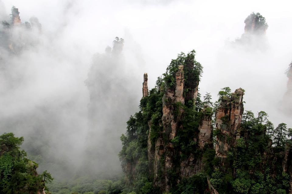 雨后张家界的云海——————人间仙境861 / 作者:旅游风光 / 帖子ID:174417
