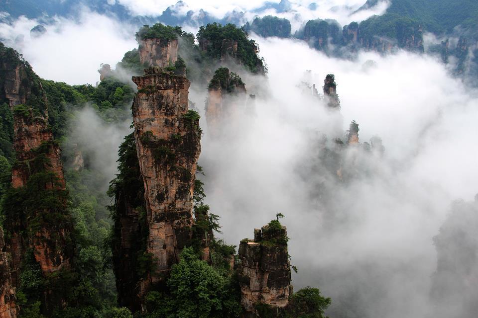 雨后张家界的云海——————人间仙境597 / 作者:旅游风光 / 帖子ID:174417