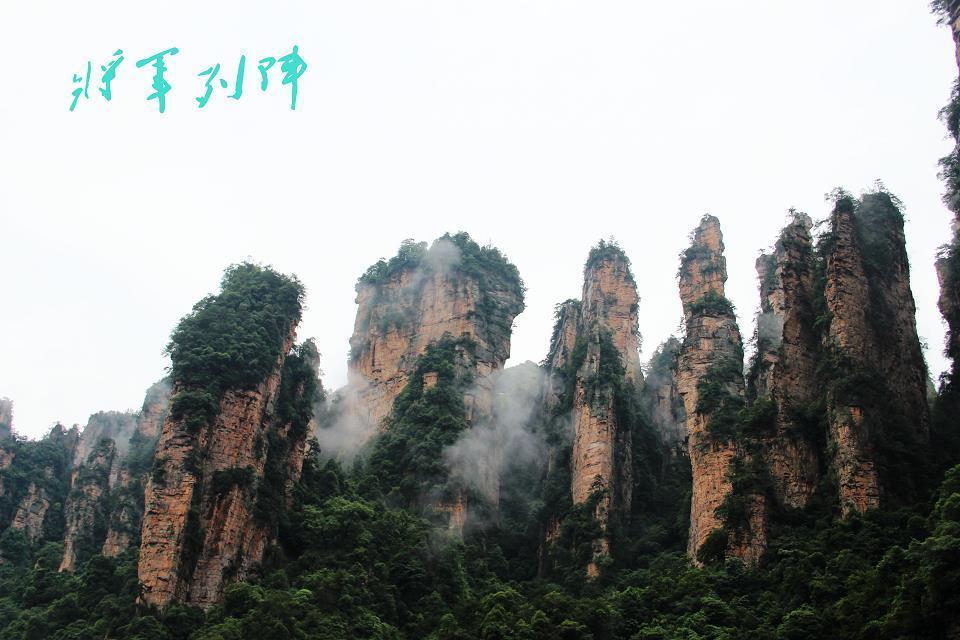 雨后张家界的云海——————人间仙境524 / 作者:旅游风光 / 帖子ID:174417