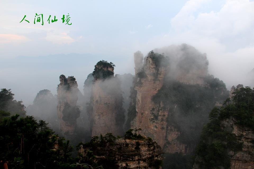 雨后张家界的云海——————人间仙境350 / 作者:旅游风光 / 帖子ID:174417