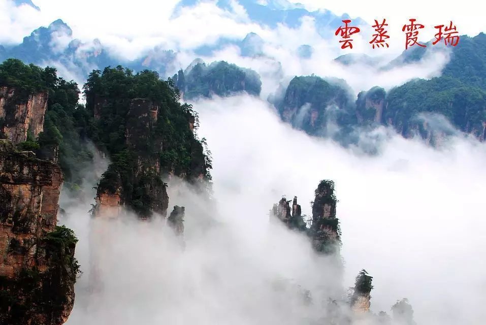 雨后张家界的云海——————人间仙境797 / 作者:旅游风光 / 帖子ID:174417