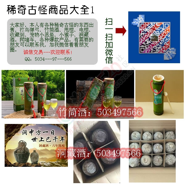 各种稀奇古怪的东西，打鸟打鱼用具。165 / 作者:hahamx / 帖子ID:174714