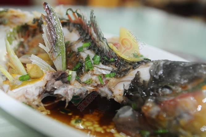 时光静好，三亚风景独好543 / 作者:周念1994 / 帖子ID:175062