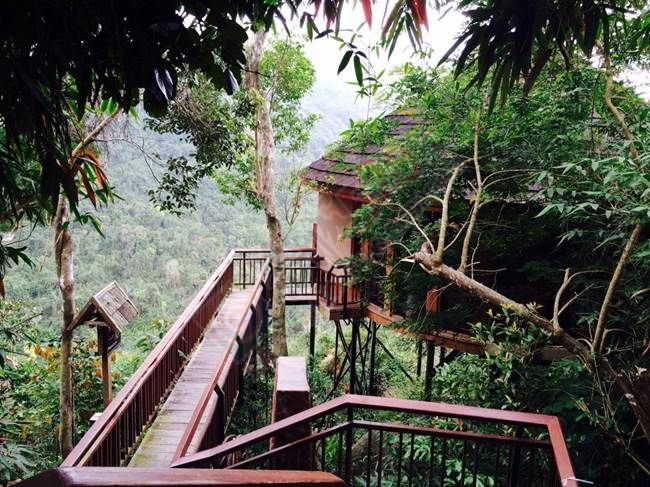 时光静好，三亚风景独好972 / 作者:周念1994 / 帖子ID:175062