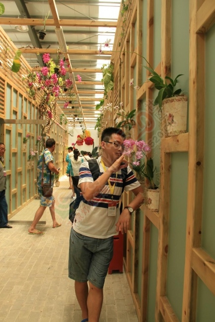 时光静好，三亚风景独好475 / 作者:周念1994 / 帖子ID:175062