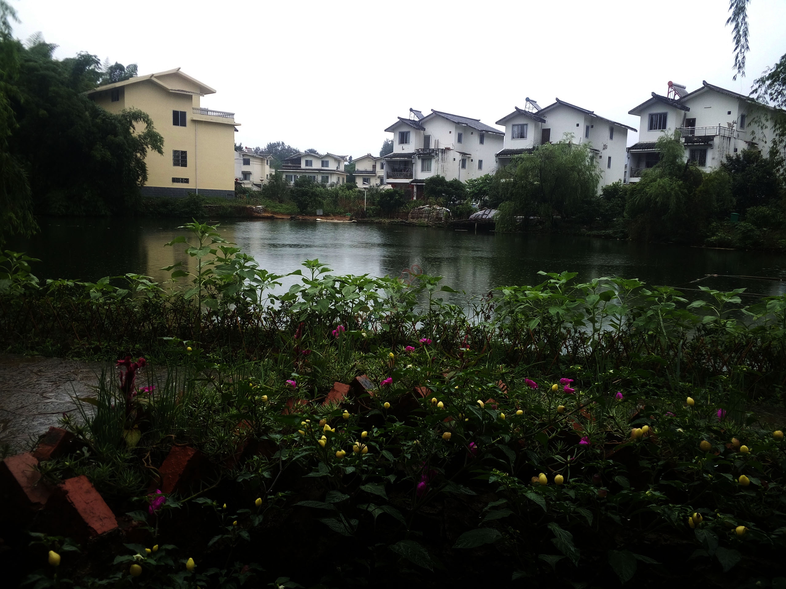 在恭城莲花红岩，跟小伙伴避雨，无意间......176 / 作者:以空。 / 帖子ID:175189