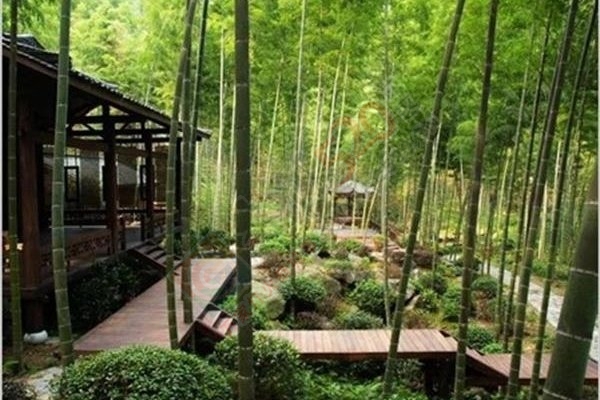 【恭城行者户外】7月16-17日华南第一高峰猫儿山露营，超然派大峡谷清凉戏水698 / 作者:光头铁（老铁） / 帖子ID:175231