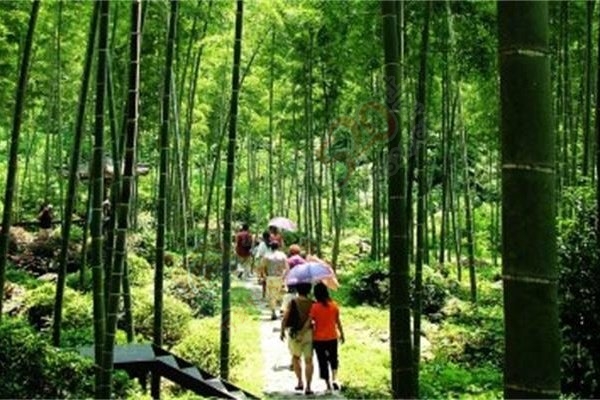 【恭城行者户外】7月16-17日华南第一高峰猫儿山露营，超然派大峡谷清凉戏水612 / 作者:光头铁（老铁） / 帖子ID:175231