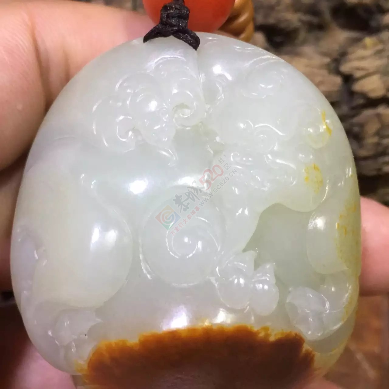 新疆和田玉籽料貔貅451 / 作者:错了_Zfm79 / 帖子ID:175232