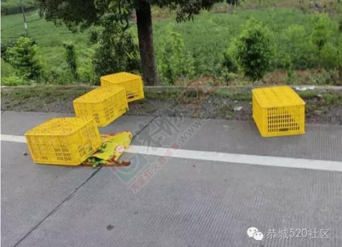 悬乎！恭城同一地方相隔200米陆续发生两起车祸造成多人受伤1人死亡583 / 作者:恭城油茶茶江水 / 帖子ID:175390