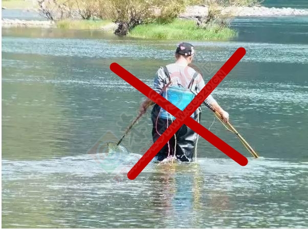 恭城县首支渔政执法船试航顺利886 / 作者:深秋的落叶 / 帖子ID:175767