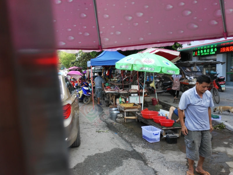 市场653 / 作者:坐着单车去桂林 / 帖子ID:175918