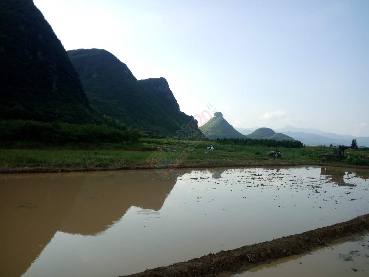 昨天下午体验了一把插马蹄994 / 作者:以空。 / 帖子ID:176255