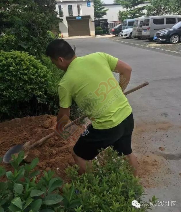 网友诉苦：恭城山水国际某业主私自占用公共绿化带多次处理无果，望该业主自觉！389 / 作者:昨天已不在 / 帖子ID:176492