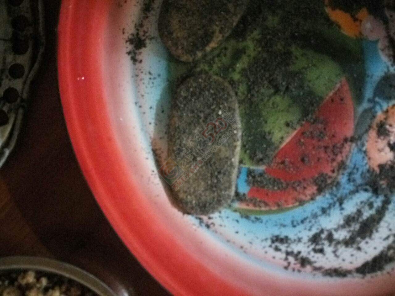 七月半了波 你们过十几的？ 做粑粑没有756 / 作者:昨天已不在 / 帖子ID:176997