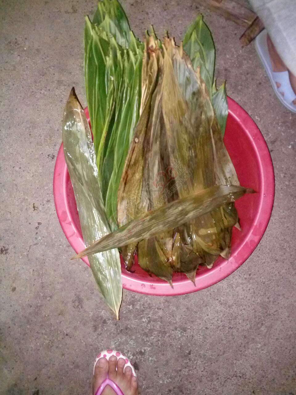 七月半了波 你们过十几的？ 做粑粑没有44 / 作者:昨天已不在 / 帖子ID:176997