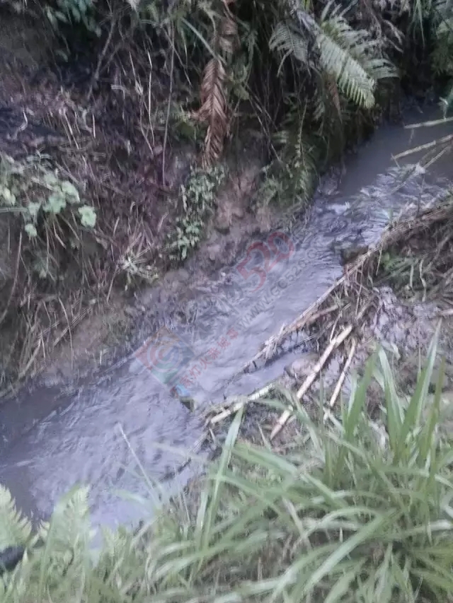 恭城龙虎老虎垒屯养鸭场污水横流影响下游村民人畜饮水，希望有关部门能够处理！413 / 作者:W810504 / 帖子ID:177111