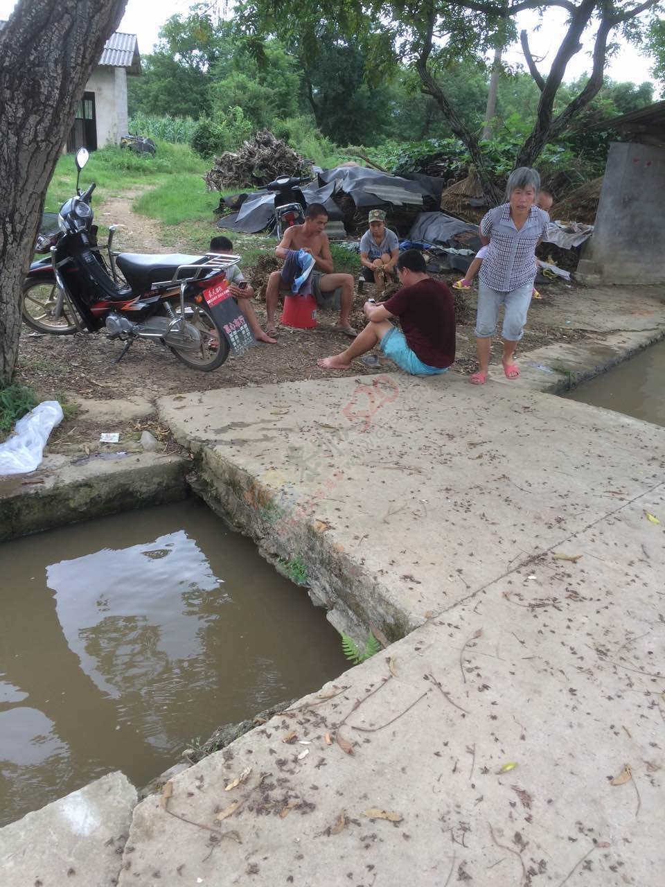 恭城龙虎老虎垒屯养鸭场污水横流影响下游村民人畜饮水，希望有关部门能够处理！538 / 作者:W810504 / 帖子ID:177111