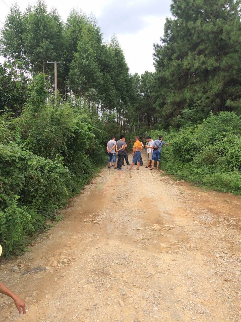 恭城龙虎老虎垒屯养鸭场污水横流影响下游村民人畜饮水，希望有关部门能够处理！968 / 作者:W810504 / 帖子ID:177111